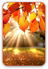 117240688_large_autumn.png