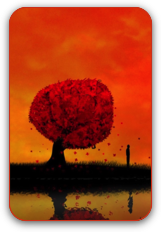 trees-orange_00356162_2.png